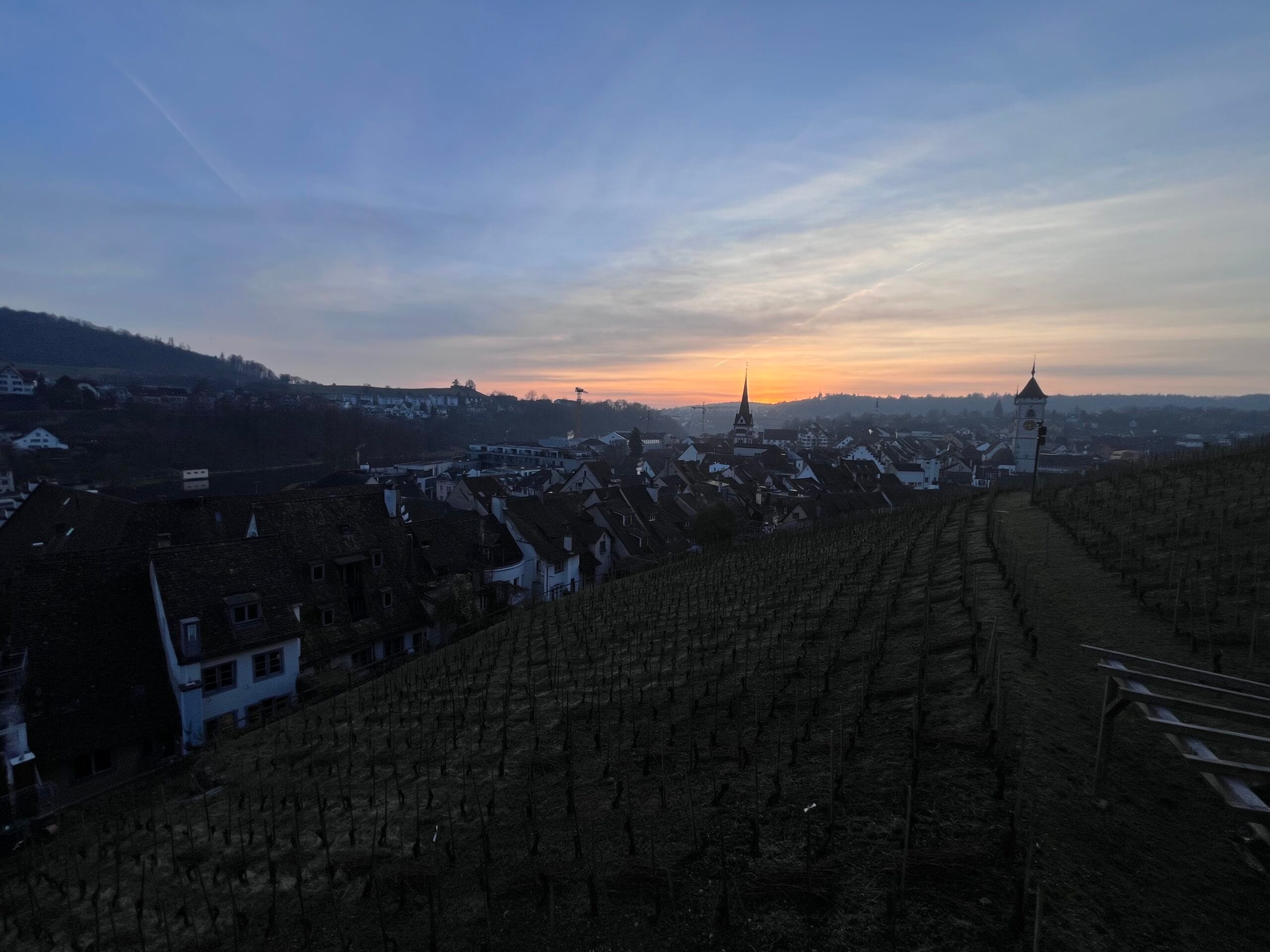 Aussicht vom Munot